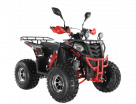  Wels ATV THUNDER EVO 125  s-dostavka  -  .       